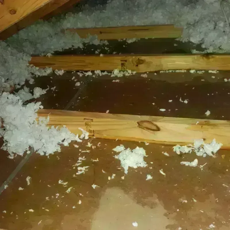 Attic Water Damage in Haywood County, TN